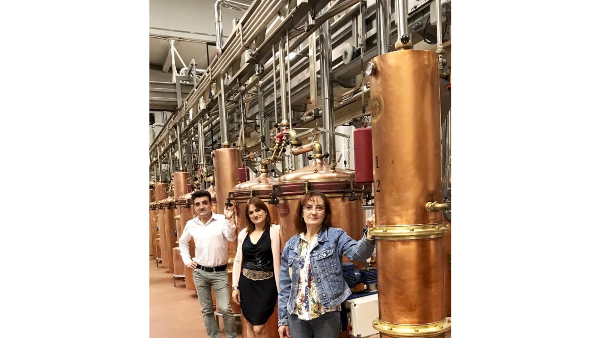 Los hermanos Ana María, María Jesús y Jerónimo Panizo, entre los alambiques y depósitos de su destilería de Camarzana de Tera (Zamora).-ARGICOMUNICACIÓN