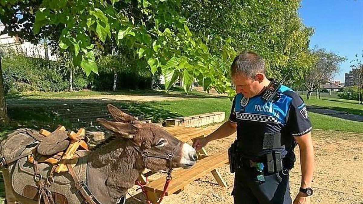 Un agente, junto al burro en el parque de los Almendros de Parquesol.-E. M.