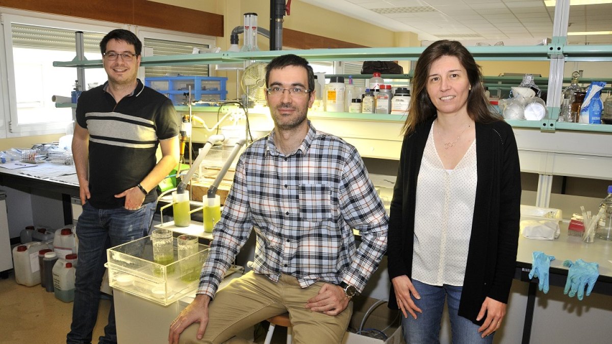 Víctor Alonso, Ignacio de Godos y Daphne Hermosilla, miembros del equipo del campus de la UVa en Soria que han desarrollado esta idea innovadora.- VALENTÍN GUISANDE
