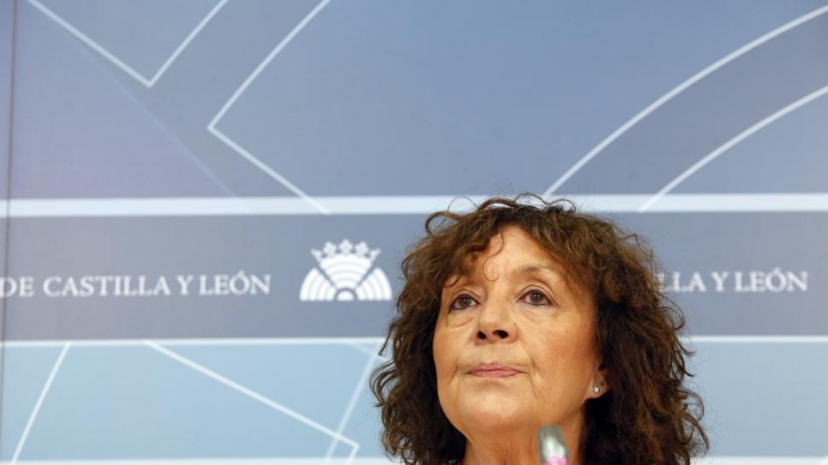 La secretaria de Sanidad de PSCyL y portavoz de esta materia del grupo Socialista en las Cortes regionales, Mercedes Martín, hace un balance de legilsatura en políticas sanitarias.-ICAL