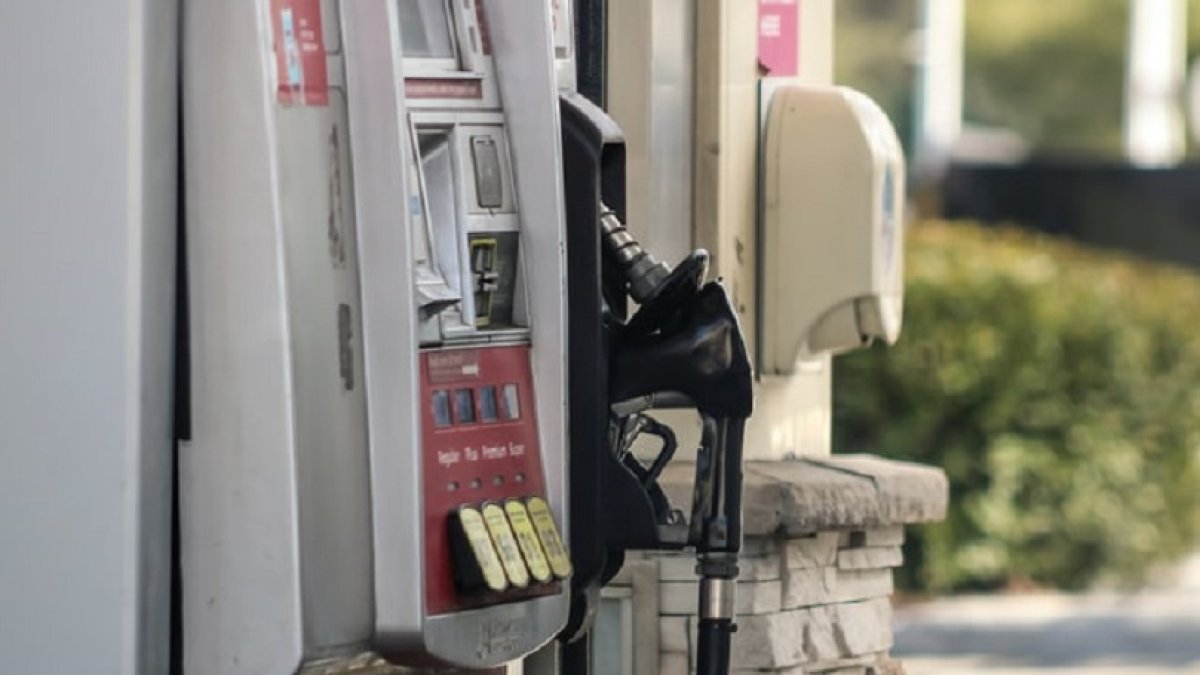 gasolina