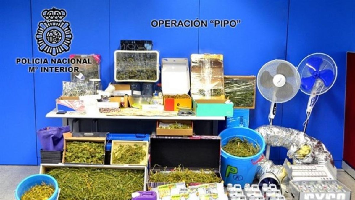 Incautación en la operación Pipo.-EUROPA PRESS