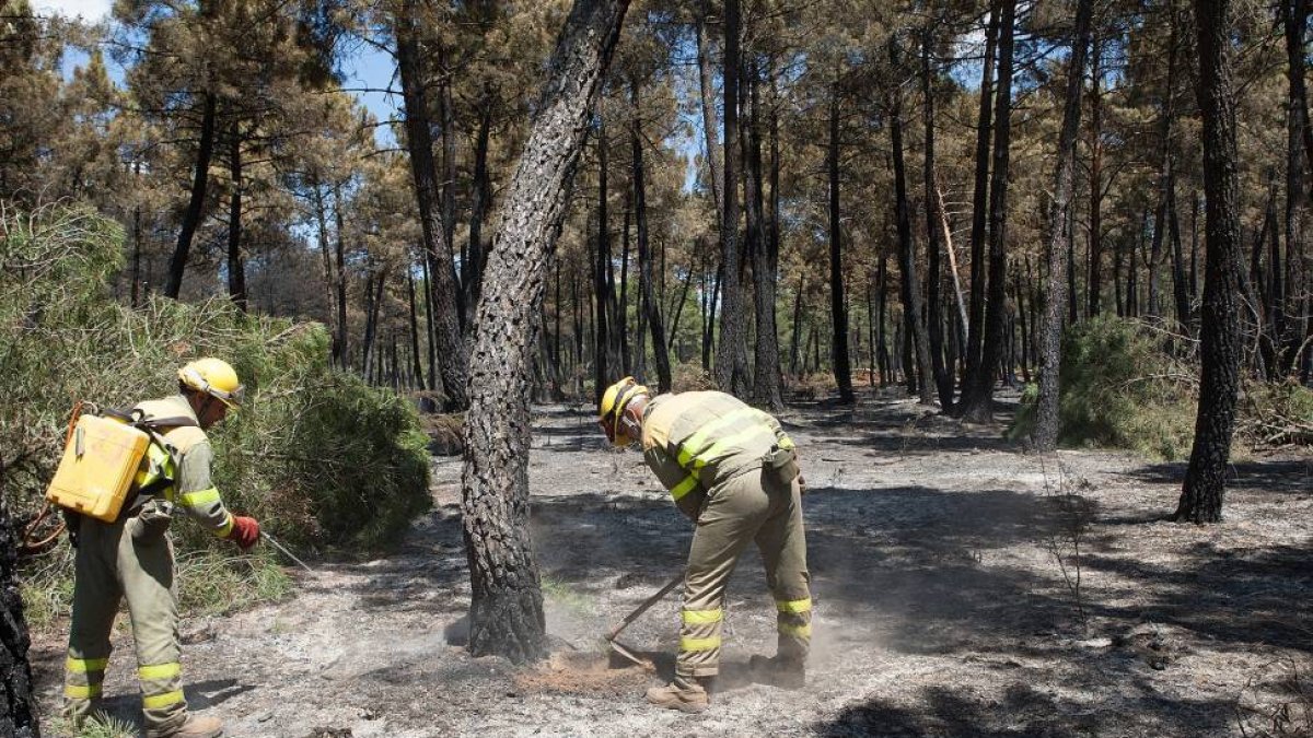 Imágen del incendio en Latedo.-ICAL