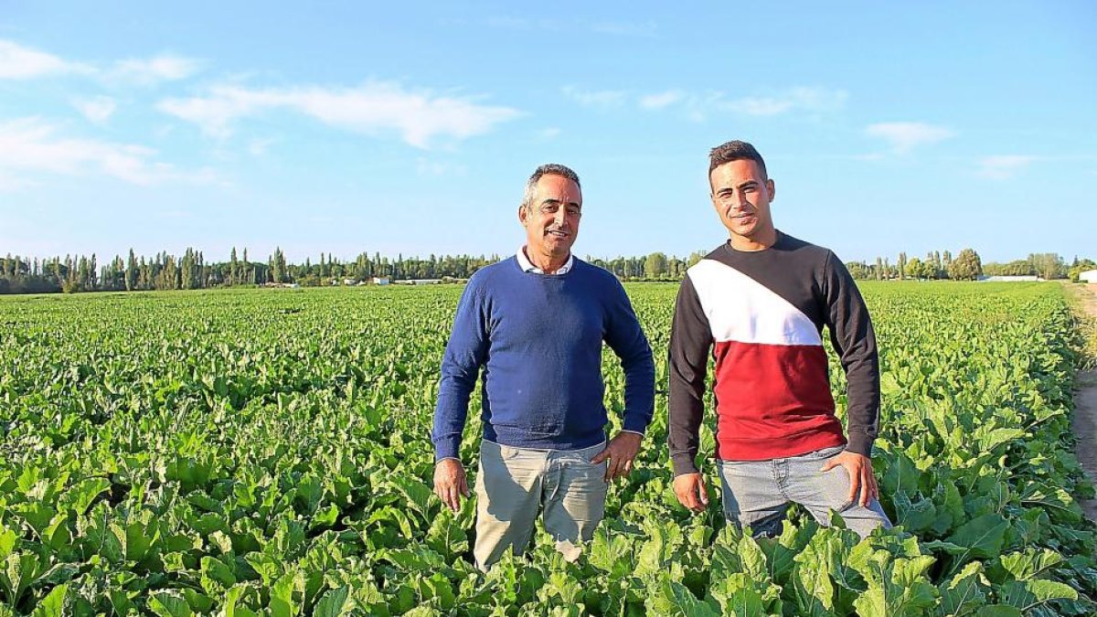Pedro Ángel Mena, remolachero de Tudela de Duero (Valladolid), junto a su hijo David de 22 años, incorporado al sector.-M.C.