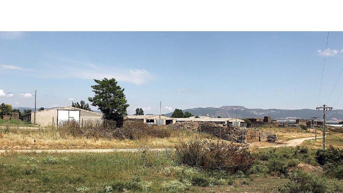 La macroexplotación se ubicaría en la finca de El Moscadero, a escasos 500 metros del casco urbano de la localidad.-G.G.