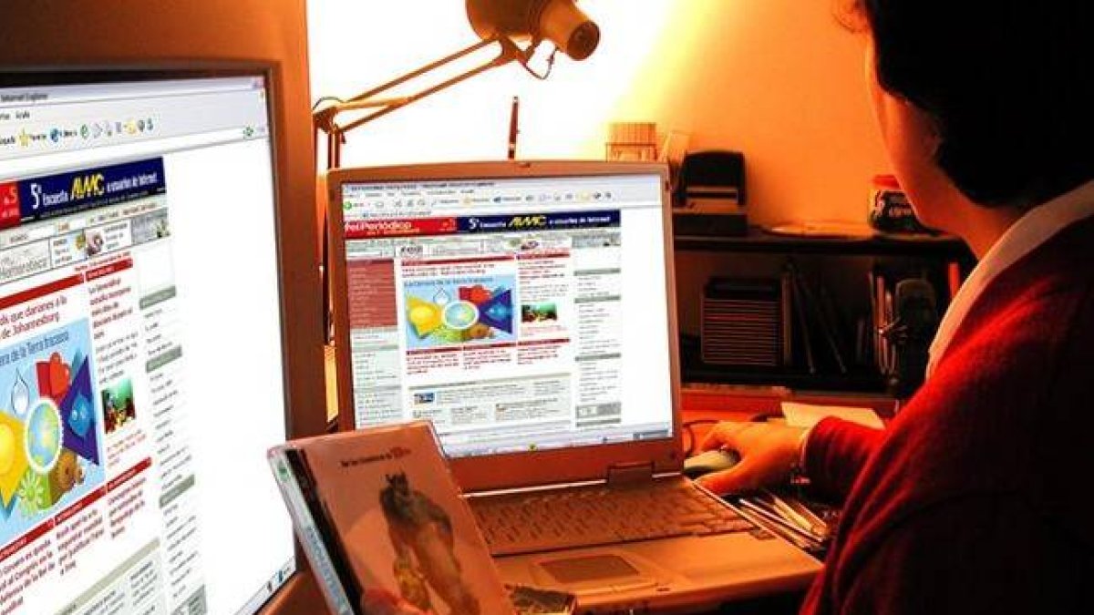 Una mujer navega por internet.-Foto: RICARD FADRIQUE