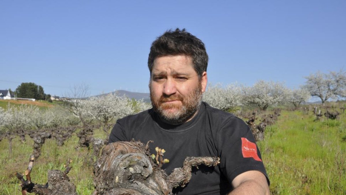 El bodeguero berciano Raúl Pérez. -EL MUNDO