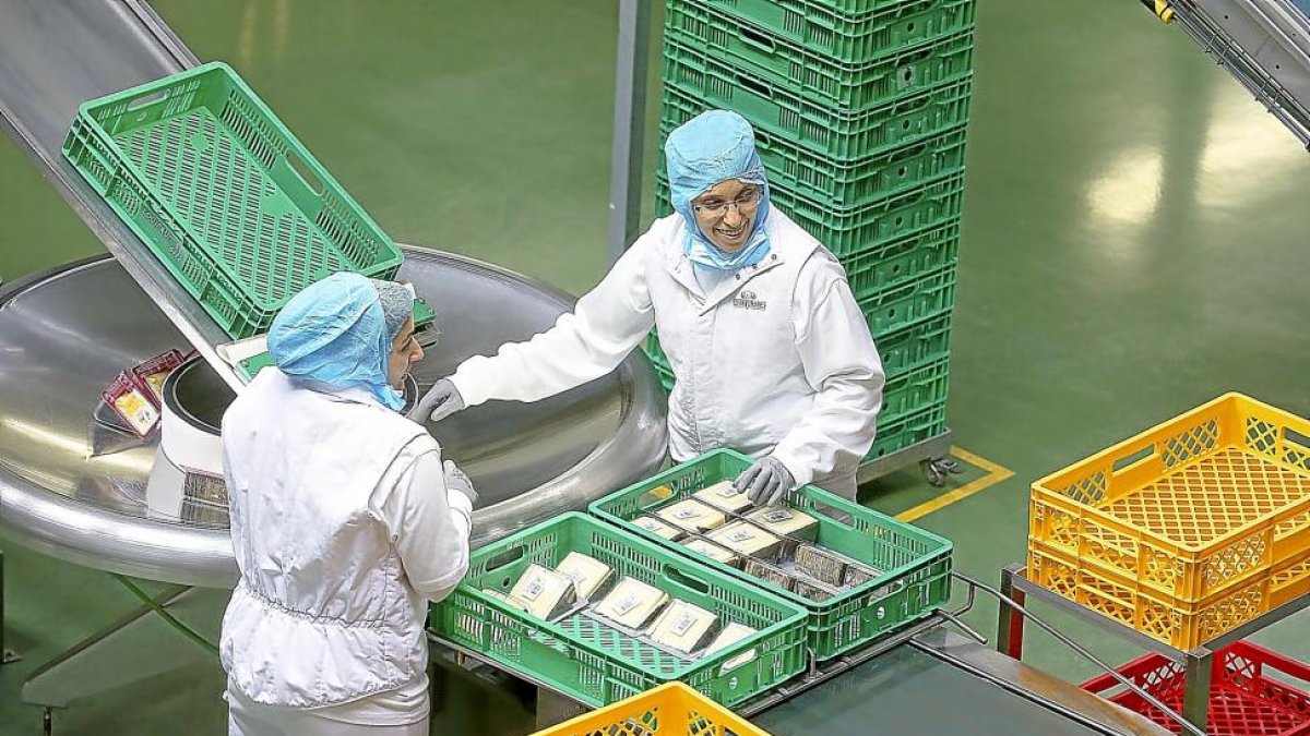 Dos operarias en la cadena de producción de Entrepinares, en sus instalaciones en el Polígono de las Arenas-ICAL