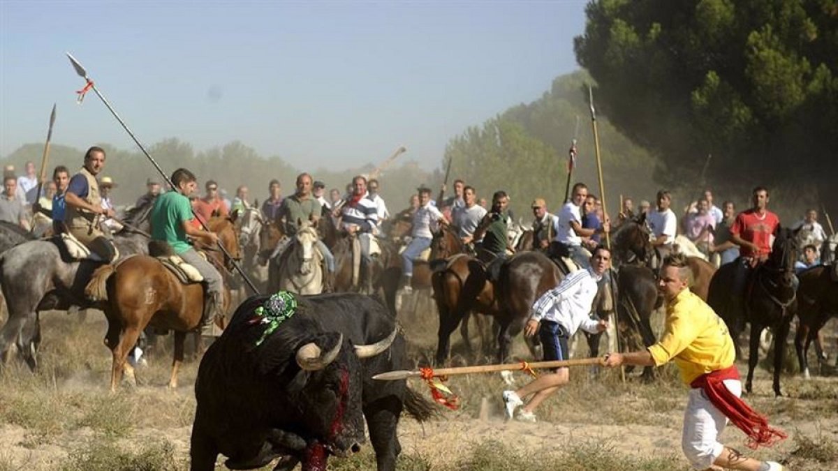 Celebración del Toro de la Vega. Imagen de archivo. - EP