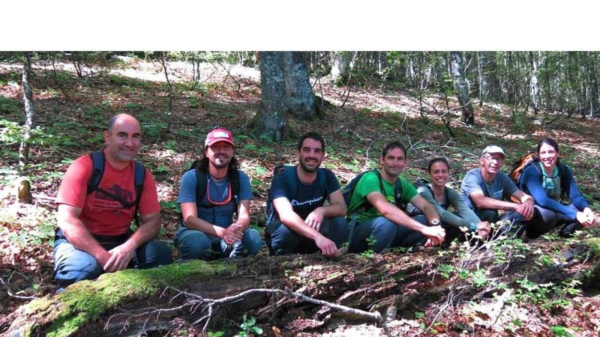 Equipo de investigadores de la Escuela de Agrarias que investiga sobre las heladas tardías en los hayedos.-E. M.