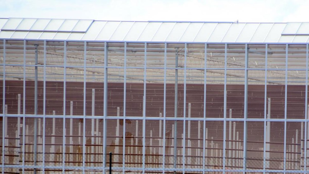 Instalaciones de la empresa Bionatur Roses en Garray (Soria).-ÁLVARO MARTÍNEZ
