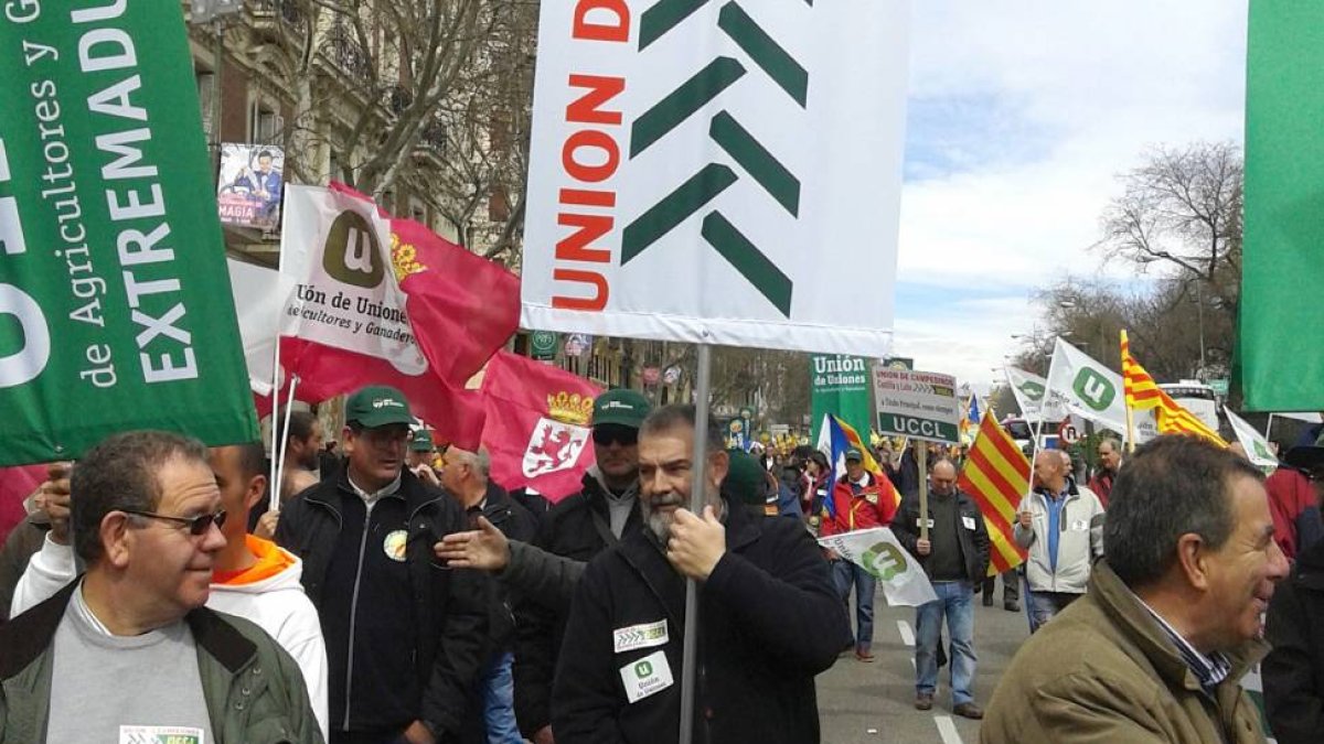 Ganaderos de Castilla y León asiten a Madrid convocados por UCCL para apoyar la manifestación que celebró La unión de Uniones-Ical