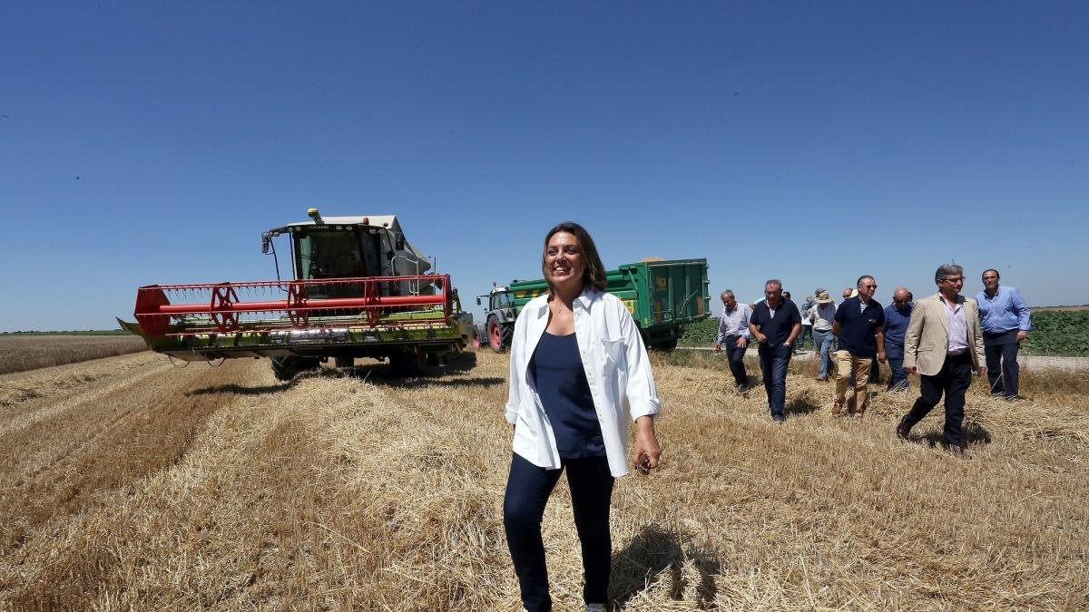La consejera de Agricultura y Ganadería, Milagros Marcos, ofrece los datos relativos a la cosecha de cereales de 2018.-RUBÉN CACHO / ICAL