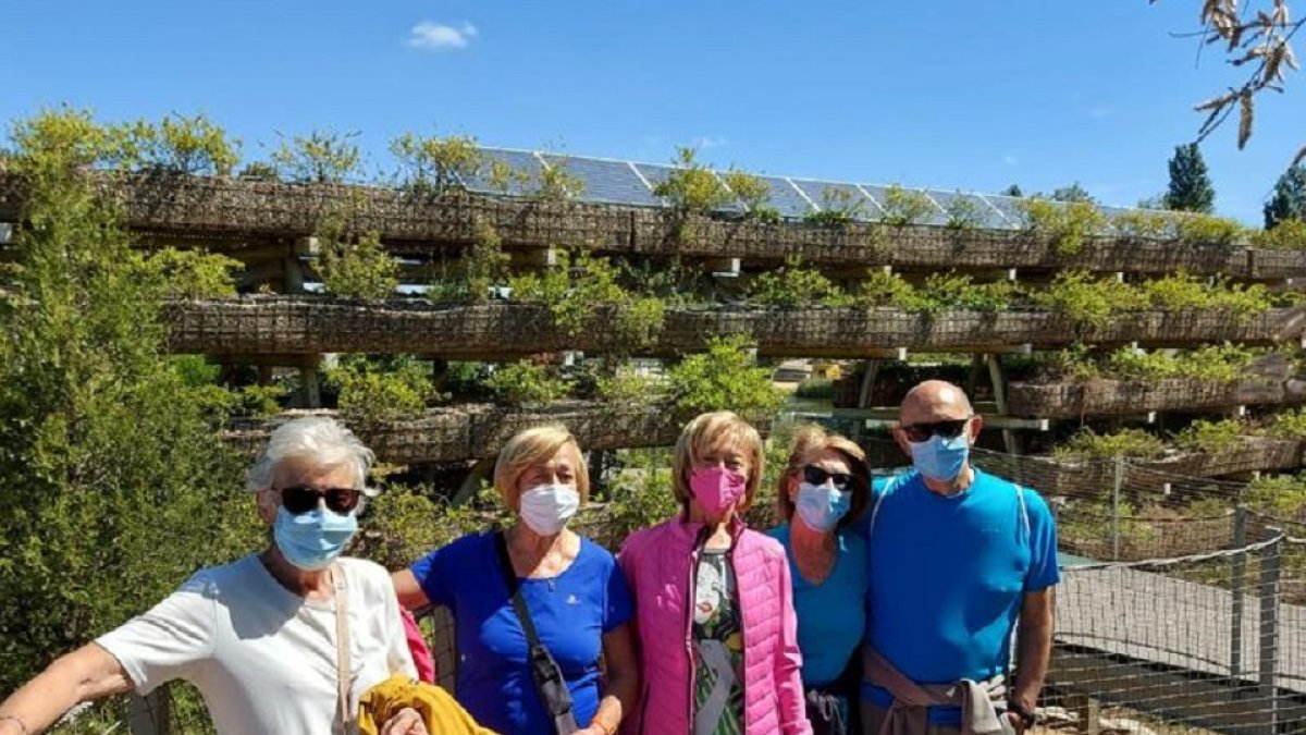 El Ayuntamiento de Valladolid pone en marcha un proyecto para fomentar entre las personas mayores los paseos saludables
El Ayuntamiento de Valladolid inicia desde este lunes su proyecto de paseos saludables para las personas mayores.
El Ayuntamiento de Valladolid inicia desde este lunes su proyecto de paseos saludables para las personas mayores. - AYUNT. DE VALLADOLID.
La iniciativa se presentará en todos los centros municipales. - EM