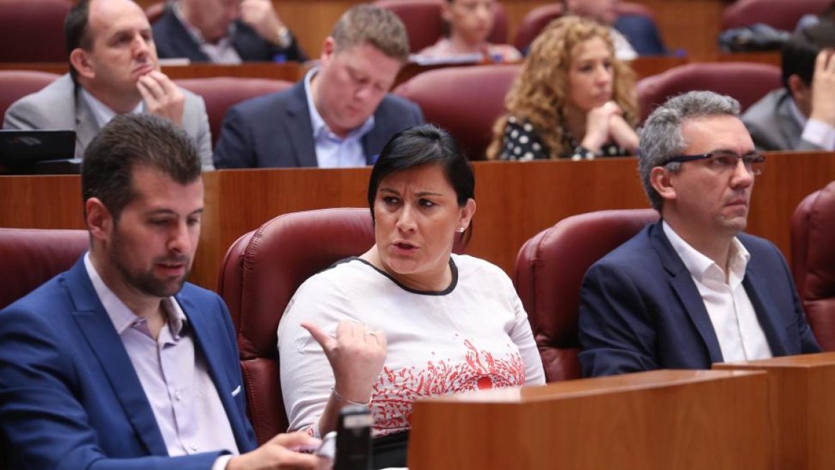 El portavoz del Grupo Socialista, Luis Tudanca, conversa con la procuradora socialista Ana Sánchez, durante el Pleno de las Cortes de Castilla y León-ICAL