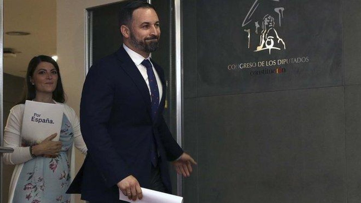 El presidente de Vox, Santiago Abascal, en el Congreso-DAVID CASTRO