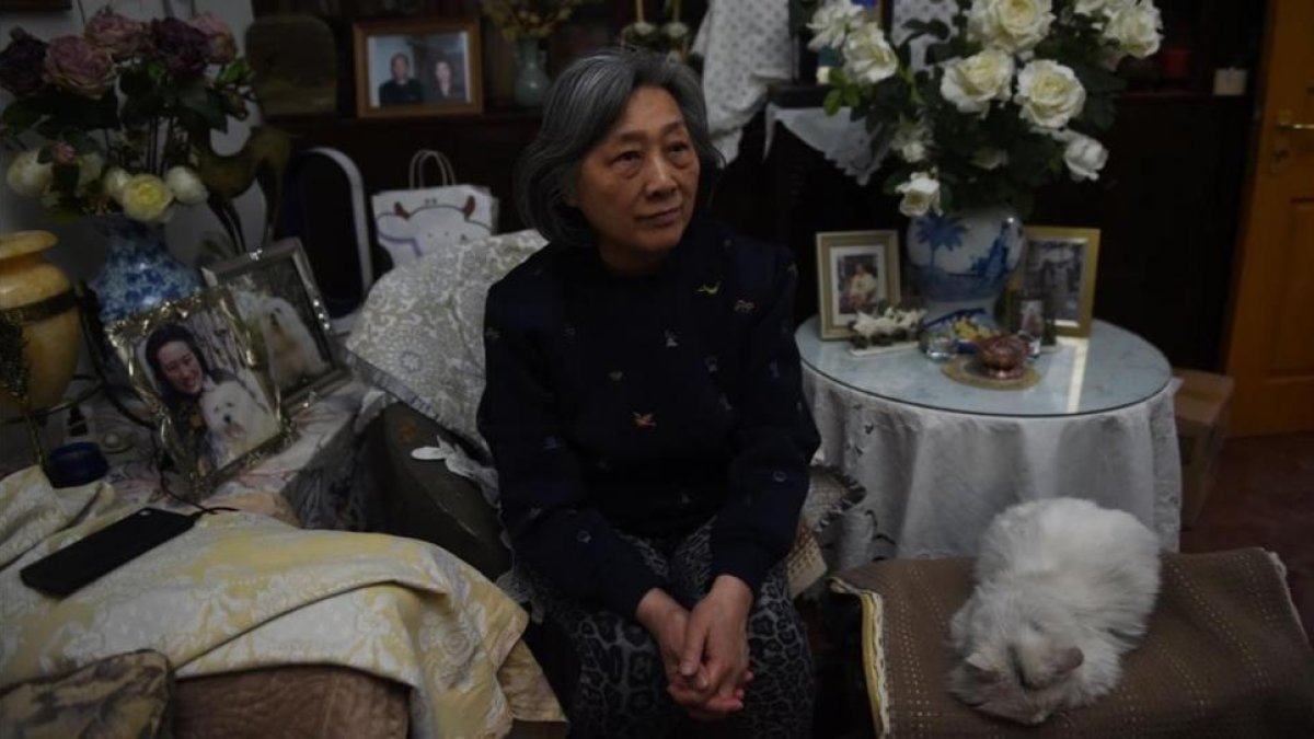 La veterana periodista Gao Yu, en su casa, en Pekín, antes de la agresión, el 31 de marzo.-