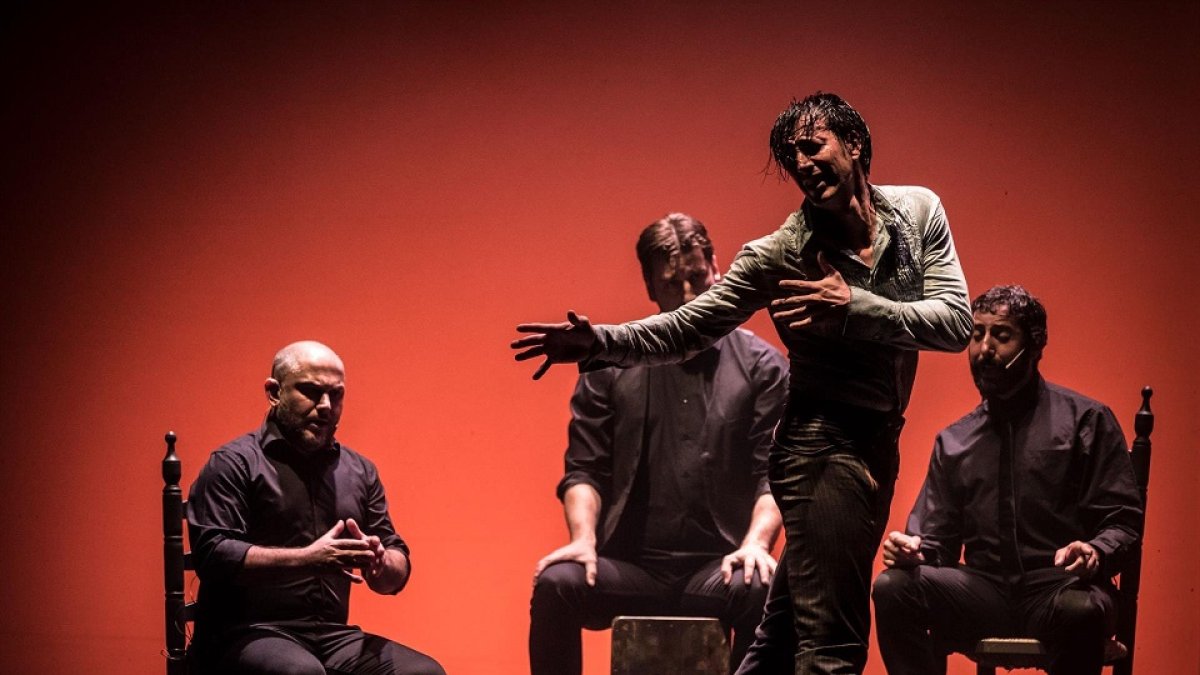 'Impulso', El Nuevo Espectáculo De La Compañía De Ballet Flamenco José Porcel, En El Zorrilla. - TEATRO ZORRILLA. - Archivo