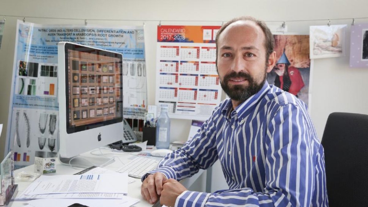 Óscar Lorenzo, investigador del Instituto Hispano-Luso de Investigaciones Agrarias (Ciale) de la Usal.-E. M.