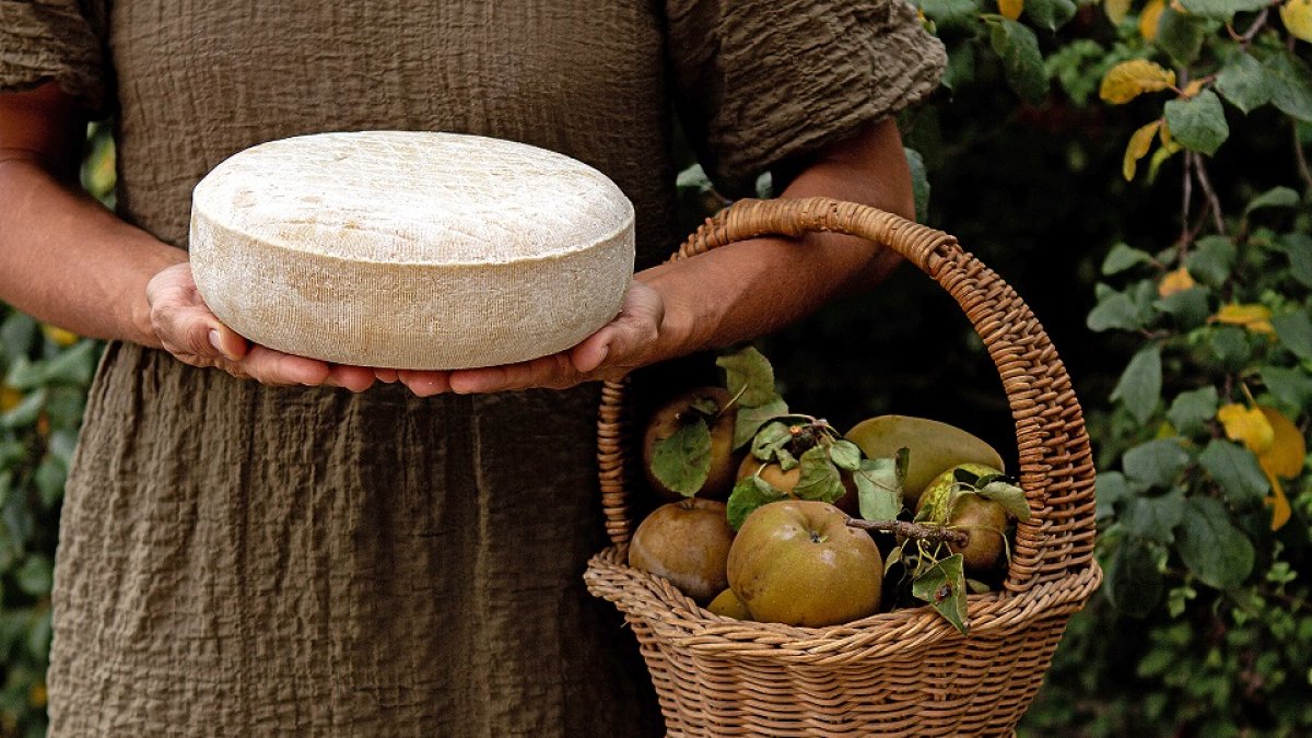 Queso semicurado Santa Gadea, una pieza de pasta prensada con leche ecológica pasteurizada de cabra de 3 kilos. / E. M.