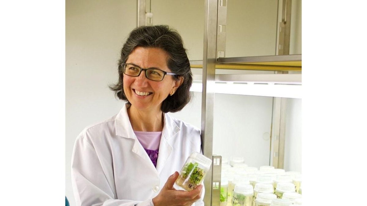 La profesora titular de la Universidad de Valladolid Rosario Sierra de Grado en su laboratorio.-PILAR VALBUENA