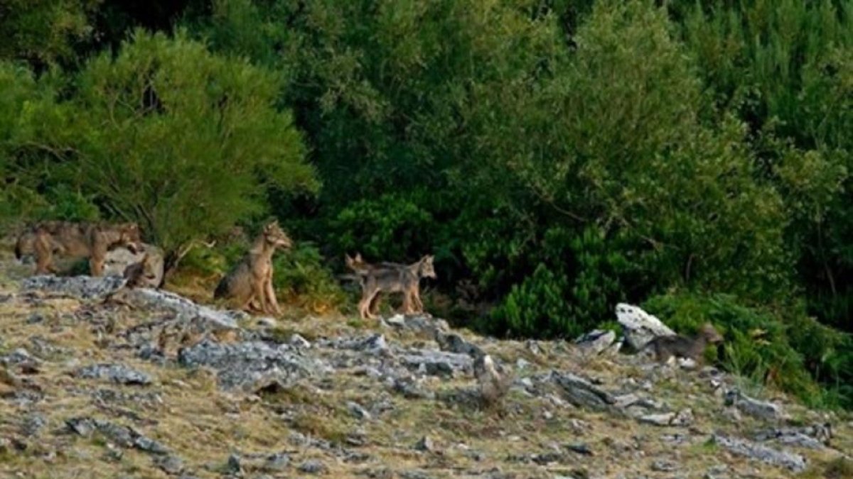 -EUROPA PRESS