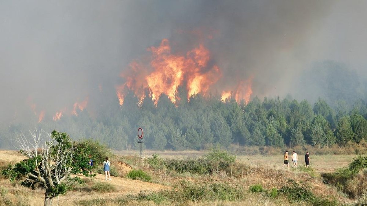 Incendio forestal en la localidad leonesa de Villapadierna-ICAL