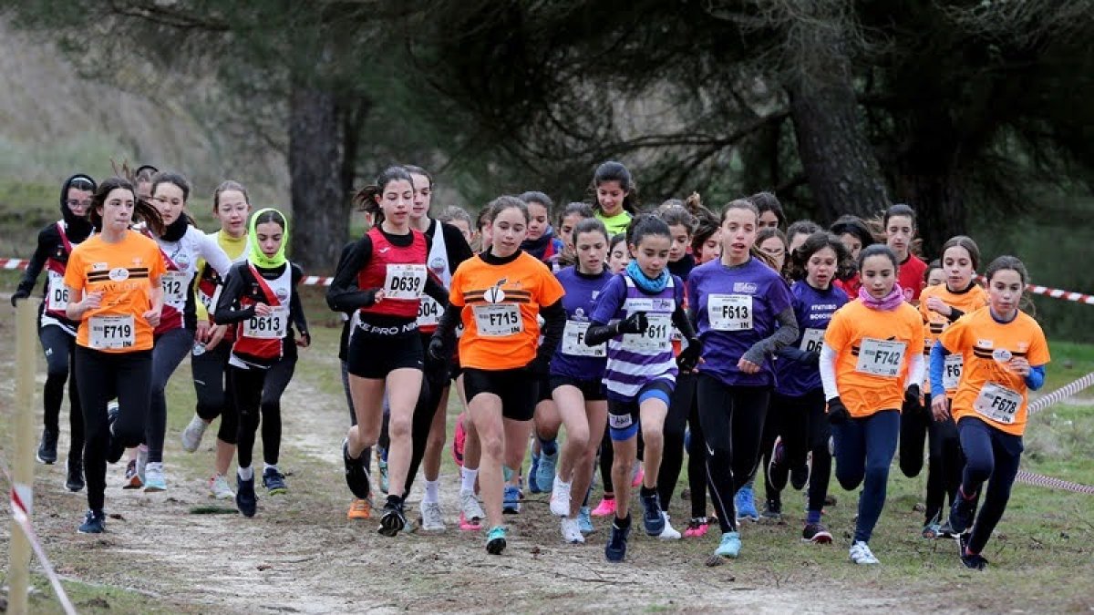 Carrera campo a través femenina.