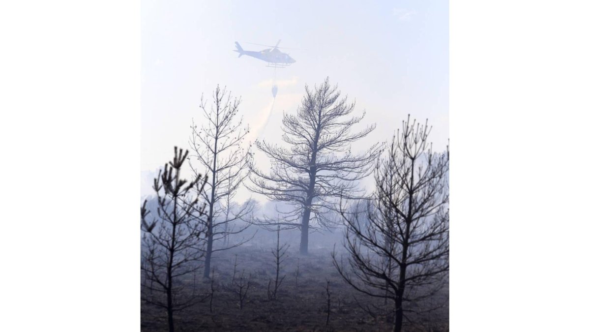 Incendio forestal en Camposagrado (León)-Ical