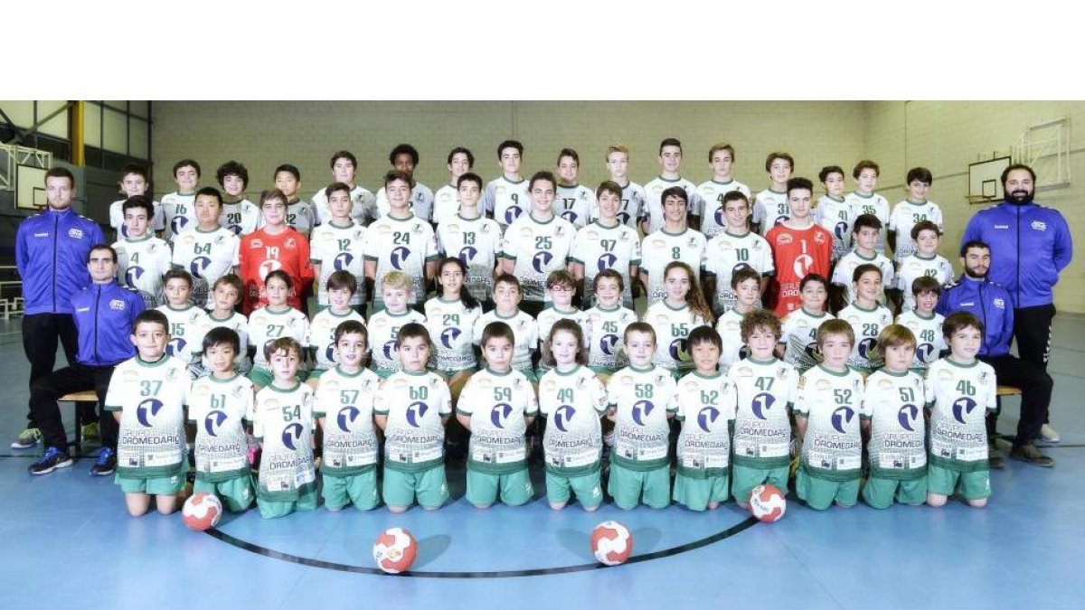 Arriba (izquierda), Cananas celebra un gol con sus jugadores. Arriba (derecha): ganadores del bronce Autonómico. Abajo:Foto de familia del BM Viana de la temporada 2017-2018. BM VIANA-E.M