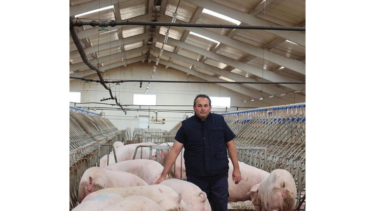 Javier Pascual con sus animales en el interior de su explotación.-E.M.