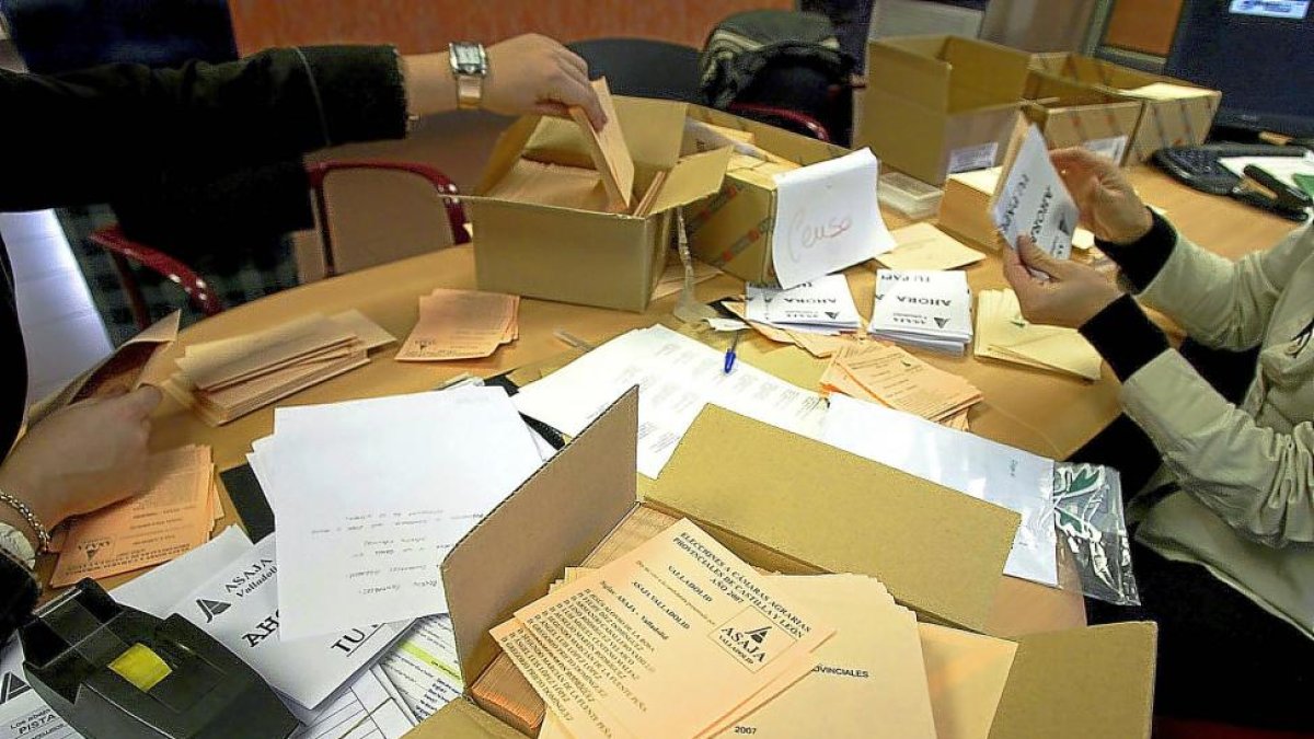 Papeletas con los representantes de Asaja Valladolid en las elecciones a cámaras agrarias de 2007.-ICAL