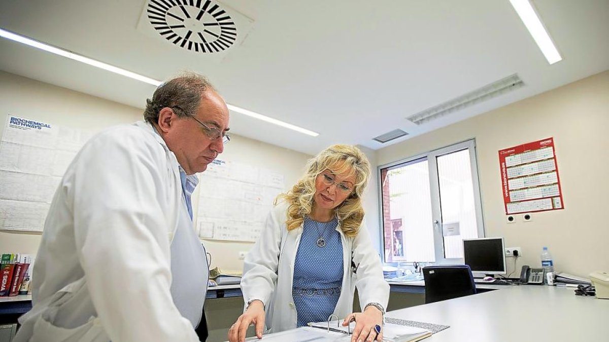 Rosa Conde, secretaria del Comité Ético de Investigación Clínica del Área de Salud Valladolid Oeste, muestra unos informes en las instalaciones del Río Hortega.-PHOTOGENIC