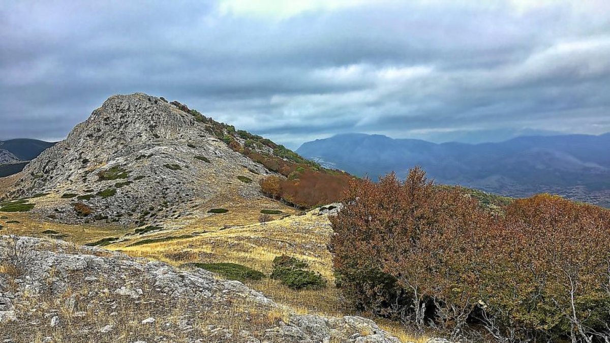 Línea de cumbres de La Celada, con los bosques de Ruesga a sus pies.-N.S.