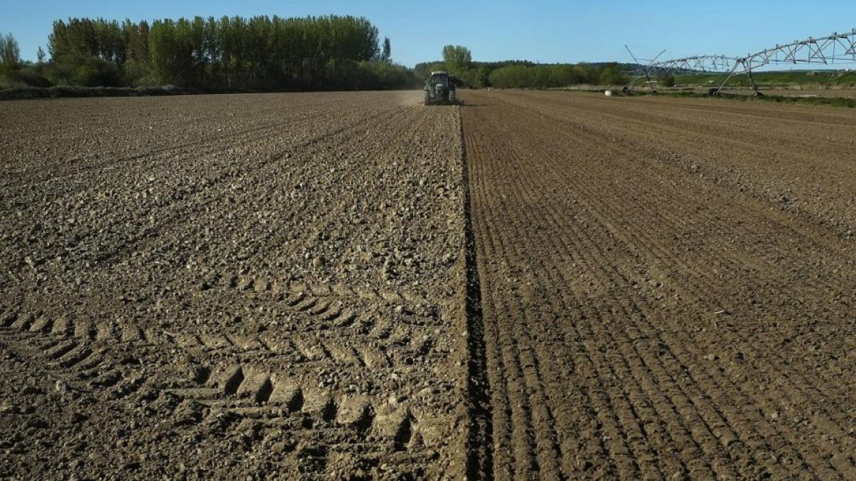 Un trabajador realiza labores agrícolas con su tractor en la localidad salmantina de Encinas de Abajo antes de la siembra.-ENRIQUE CARRASCAL