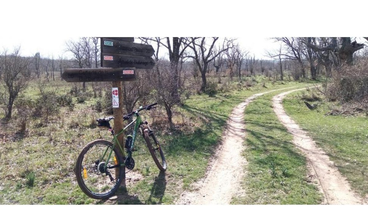 Las cercanías de la Vega de Baturio son una de las zonas más accesibles y mantienen el uso tradicional ganadero de las dehesas, ahora transitables en bicicleta .-TOÑO CARRILLO