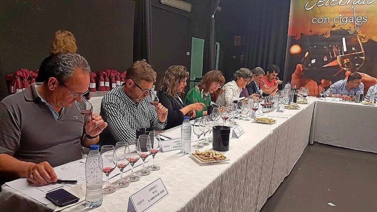Imagen del jurado de la pasada edición durante la cata a ciegas de los premios Calidad de la DO Cigales.-CRDO CIGALES
