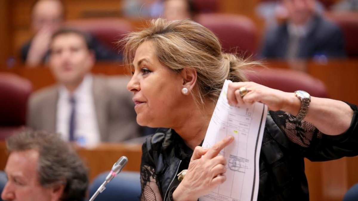 La vicepresidenta de la Junta y consejera de Empleo, Rosa Valdeón, durante su intervención en el Pleno de las Cortes de Castilla y León.-ICAL
