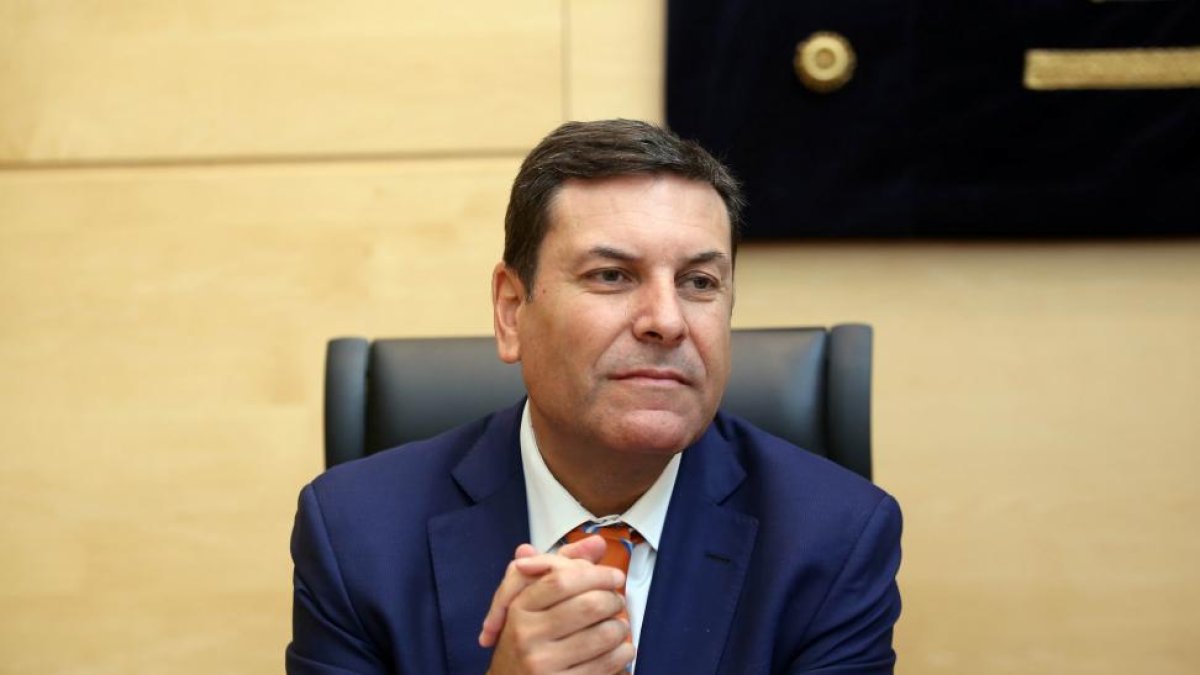 El consejero de Empleo, Carlos Fernández Carriedo, comparece a petición propia en la Comisión de Empleo de las Cortes para informar sobre el grado de cumplimiento de los objetivos de Legislatura.-ICAL