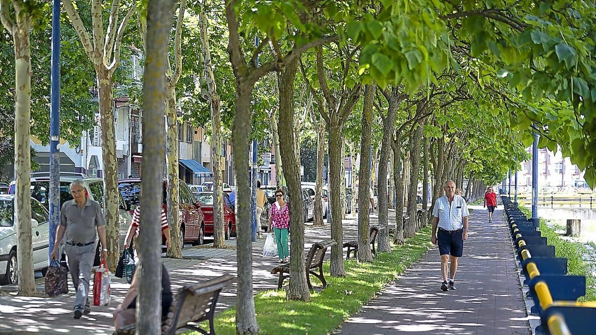 Imagen del Paseo del Cauce, donde se acomete la renovación del alumbrado.-PABLO REQUEJO (PHOTOGENIC)