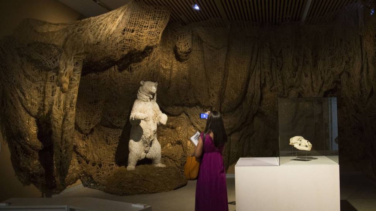 El Museo de la Evolución Humana presenta la nueva exposición temporal 'La Sima de los Osos’-Ical