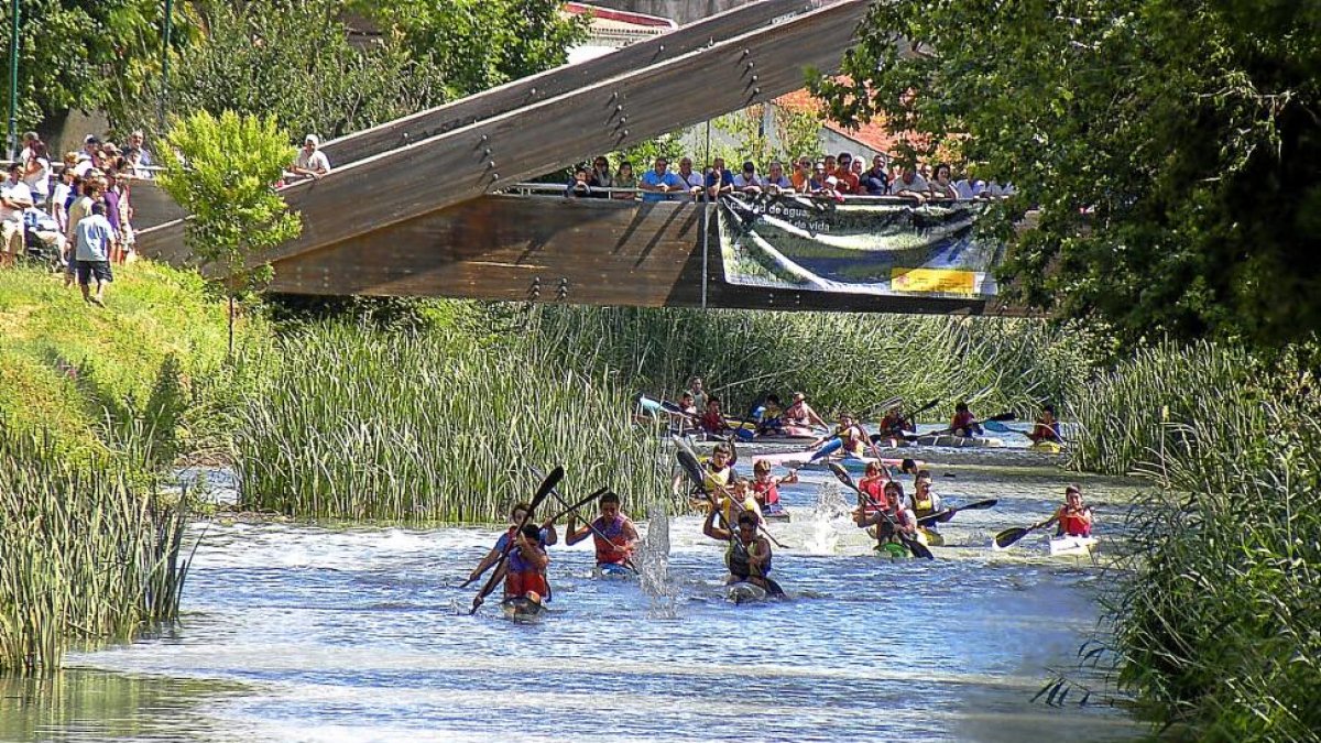 Regata por el Canal de Castilla en las fiestas del año pasado.-EL MUNDO