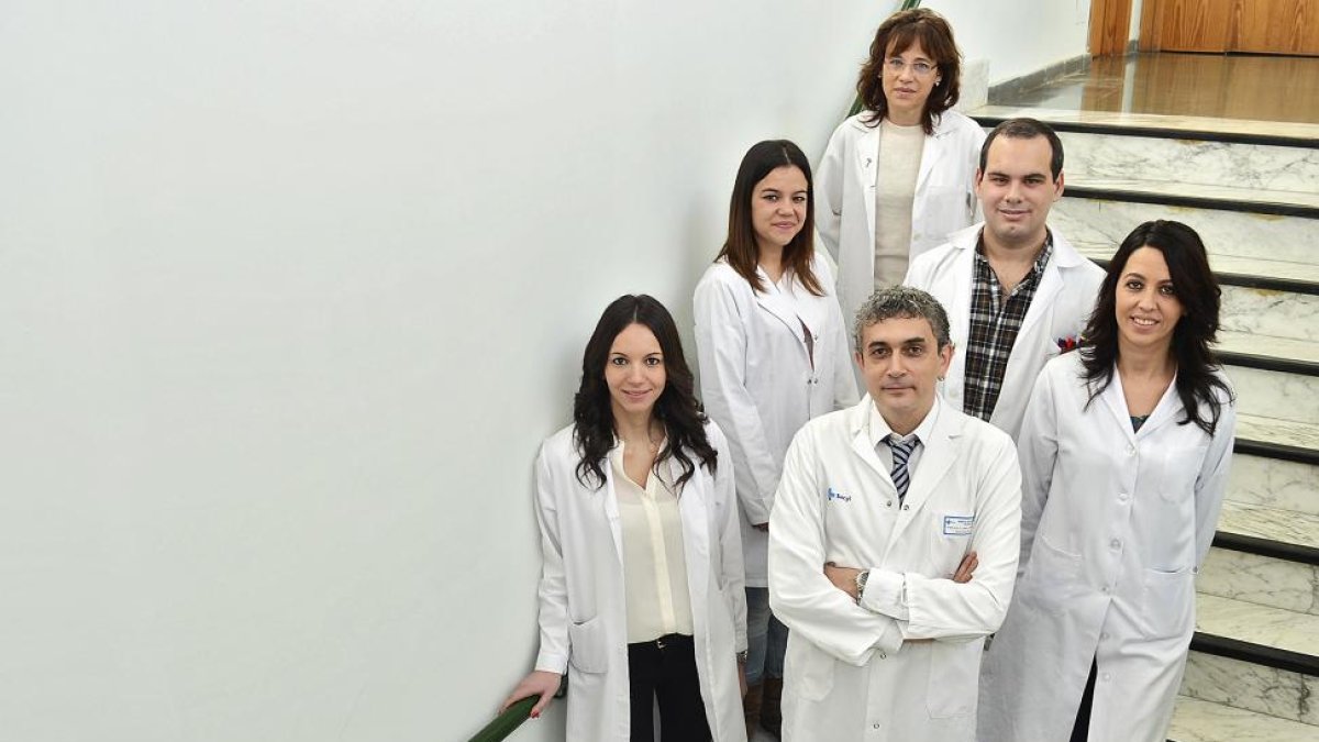 Miembros del grupo de investigación del IBSAL y de la Universidad de Salamanca, coordinados por el doctor Carlos Martínez.-EL MUNDO