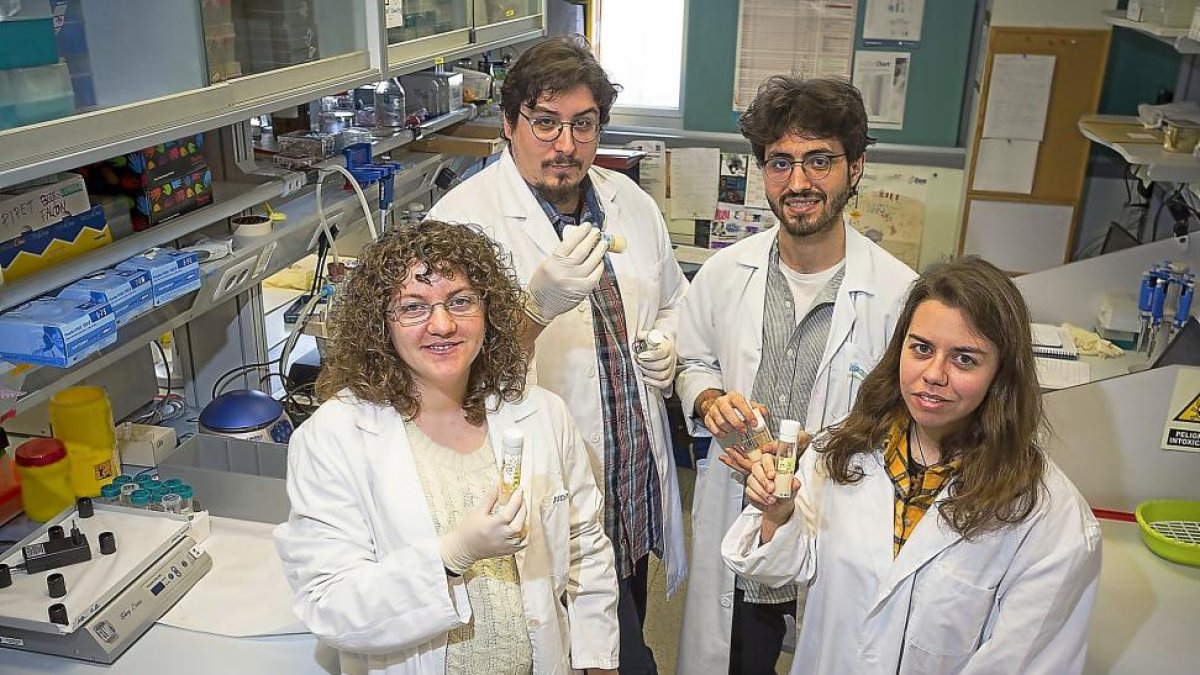Raquel Pascua, Cándido Pérez, Sergio Díez-Hermano y Miriam Corraliza en el IBGM de Valladolid.-R. GRÁFICO: MIGUEL ÁNGEL SANTOS