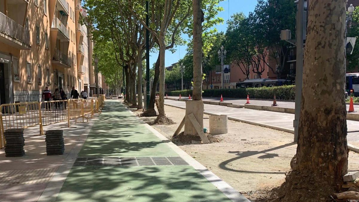 Nuevo carril bici en el paseo de Zorrilla de Valladolid. - EUROPA PRESS