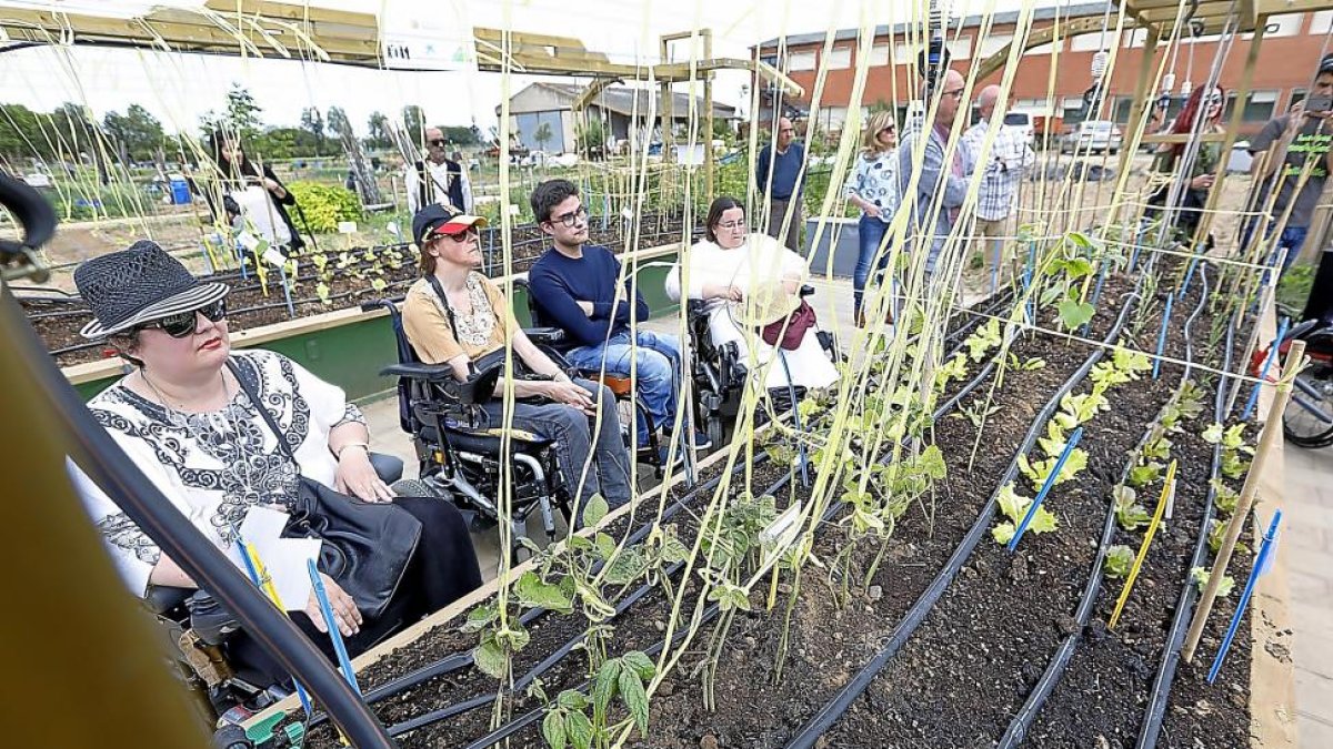 Inauguración de los dos huertos de la finca ecológica de INEA adaptados para personas en silla de ruedas-J.M. Lostau