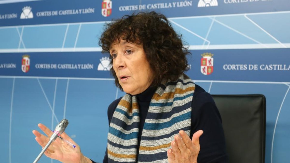 Mercedes Martín, portavoz de Sanidad del Grupo Parlamentario Socialista, analiza la actualidad sanitaria de la región.-ICAL