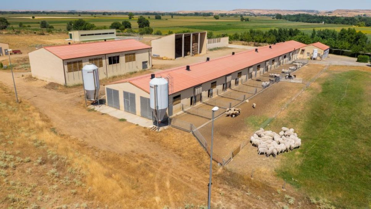 Imagen área del Centro de Selección y Mejora Genética de Ovino y Caprino de Castilla y León en  Toro (Zamora).-E.M.