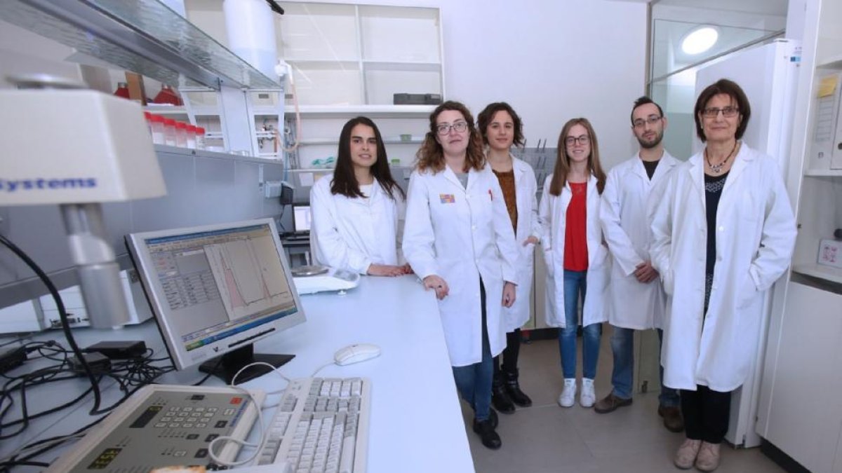 Miembros del grupo de investigación ProcerealTech en las instalaciones de la Universidad de Valladolid.-EL MUNDO