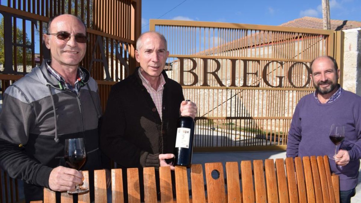 De izquierda a derecha, los hermanos Gaspar, Fernando y Javier Benito, a la entrada de la bodega de Fompedraza.-ARGICOMUNICACIÓN